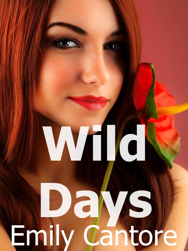 Wild Days – hot new four-book erotic compilation